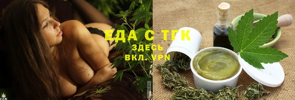 индика Волоколамск
