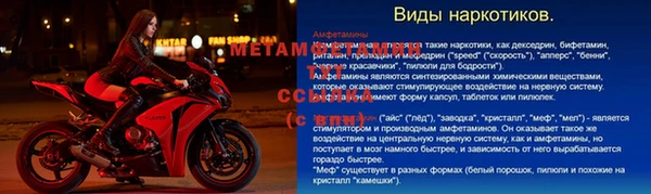 индика Волоколамск
