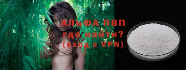 прущие грибы Волосово
