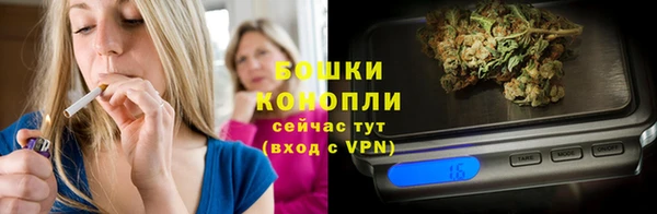 прущие грибы Волосово