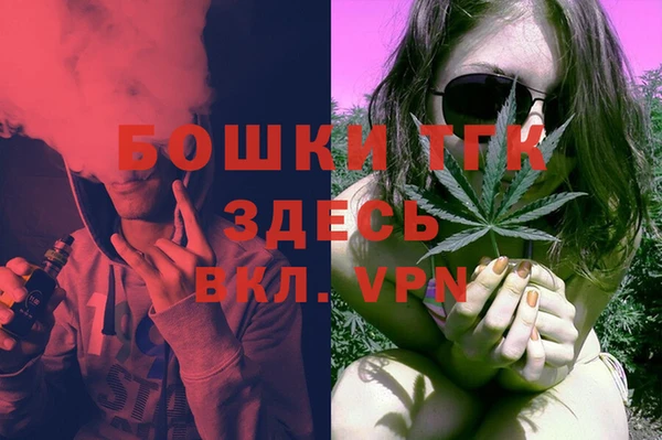 индика Волоколамск