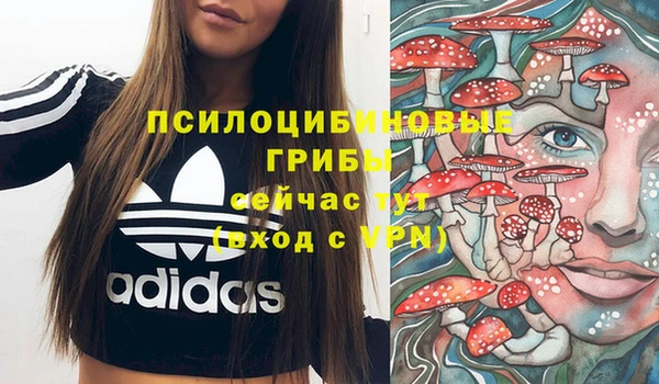 индика Волоколамск