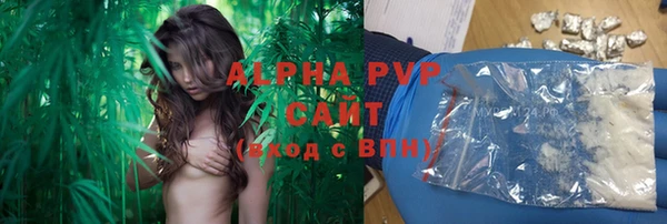 индика Волоколамск