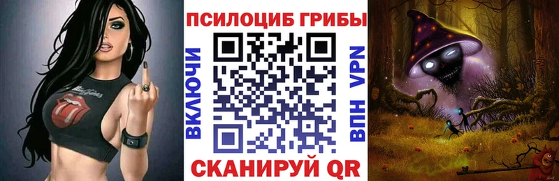 Псилоцибиновые грибы Psilocybine cubensis  Дмитриев 