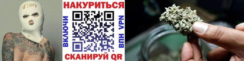 блэк спрут tor  хочу   Дмитриев  Канабис планчик 
